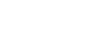 Vebixo Studio logo